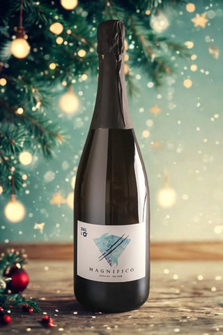 Spumanti da pranzo & cenone - BOX DI NATALE